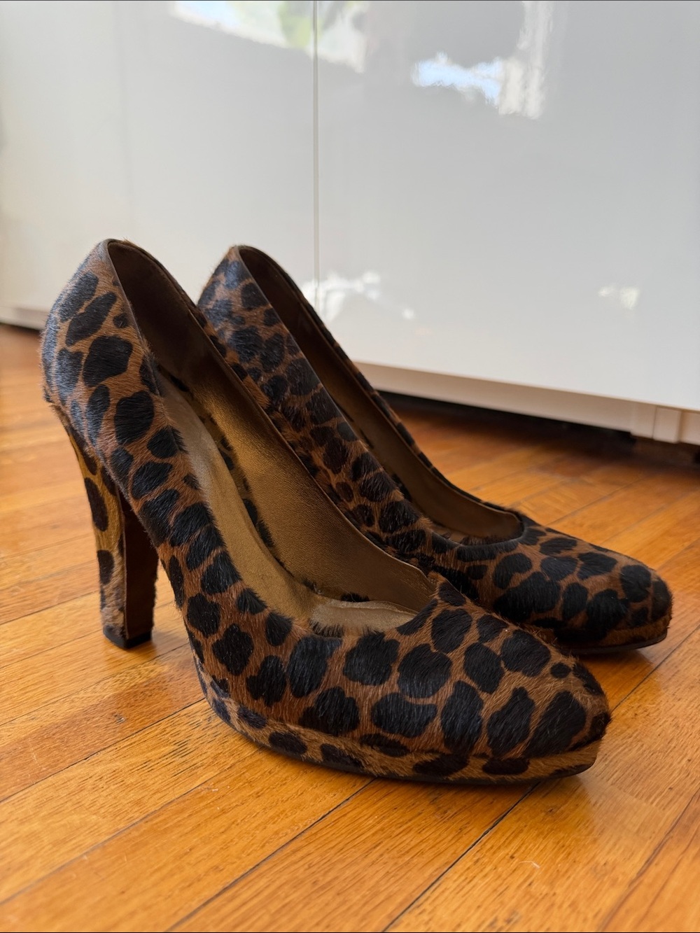 Miu Miu Leopard Print Platform Pumps in Brown and Black